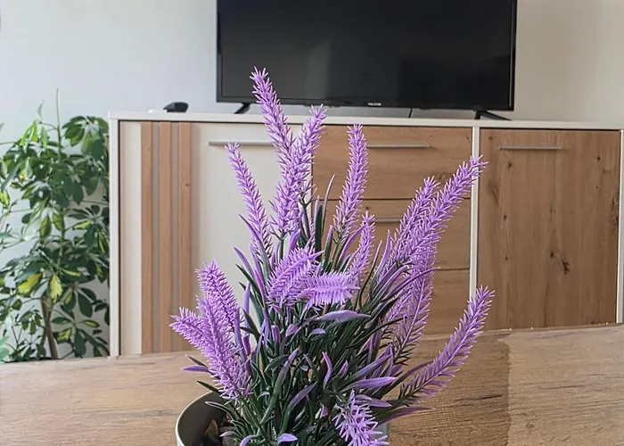 Lavanda Apartman *